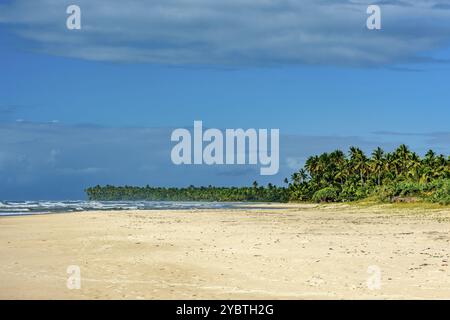 Paradiesischer Strand umgeben von Kokospalmen in Serra Grande an der Südküste von Bahia Stockfoto