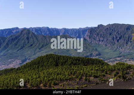 Nationalpark Caldera de Taburiente vom Astronomischen Aussichtspunkt Llano del Jable, Cumbre Vieja Vulkan. Vulkanische Landschaft mit kanarischen Kiefern Stockfoto