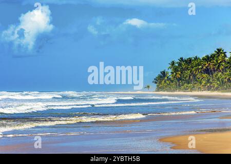 Wunderschöner, vollständig verlassener Sargi Strand, umgeben von Kokosnussbäumen an einem sonnigen Tag in Serra Grande an der Südküste von Bahia, Brasilien, Südamerika Stockfoto