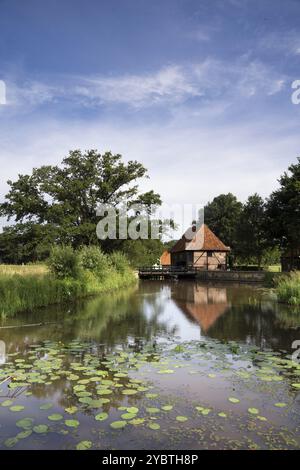 Die Oldemeule ist eine wunderschön gelegene Wassermühle auf dem Oelerbeek in der Gemeinde Hengelo Stockfoto