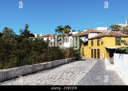 Traditionelle Häuser in der Altstadt von Icod de los Vinos, Teneriffa, Kanarische Inseln Stockfoto