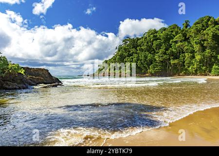 Fluss fließt ins Meer am idyllischen Ribeira Strand, umgeben von tropischen Wäldern in Itacare an der Küste von Bahia Stockfoto