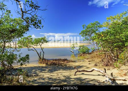 Treffpunkt zwischen Mangroven, Fluss, Sand und Meer am Sargi Beach in Serra Grande an der Südküste von Bahia Stockfoto