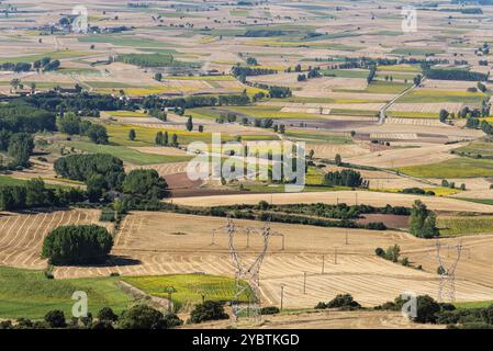Hochwinkel Blick auf Ackerland mit Feldern für Sonnenblumenanbau. Sommerzeit, La Bureba, Burgos Stockfoto