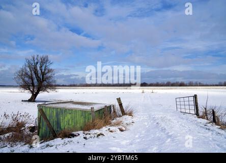 Schuppen und einsamer Baum in einer schneebedeckten Landschaft in der Nähe des niederländischen Dorfes Werkendam Stockfoto