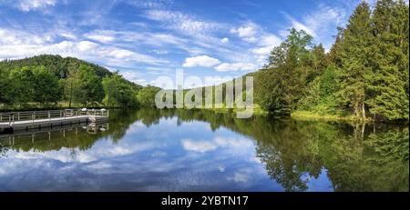 Blick auf einen See im Spiesswoogtal bei Fischbach bei Dahn in Rheinland-Pfalz Blick auf einen See im Spiesswoogtal Stockfoto