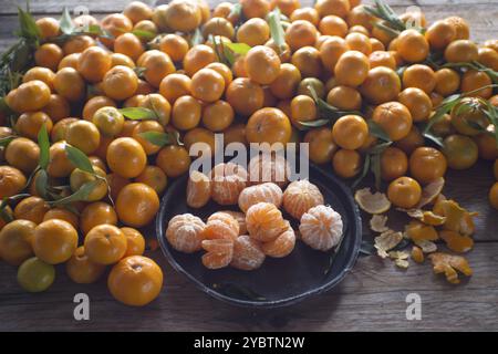 Präsentation über das Ergebnis der Sammlung von Früchten der Spindel Stockfoto