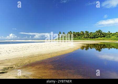 Wo der Fluss mit Kokospalmen im Hintergrund auf das Meer trifft, am Sargi Beach in Serra Grande an der Küste von Bahia Stockfoto