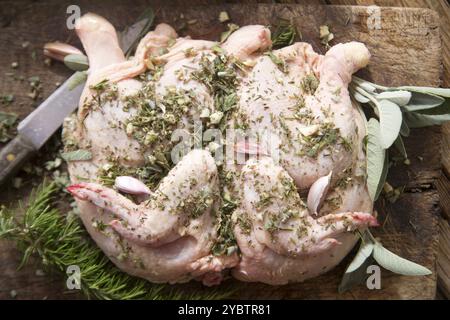 Zubereitung eines ganzen Hähnchens mit mediterranen Kräutern Stockfoto