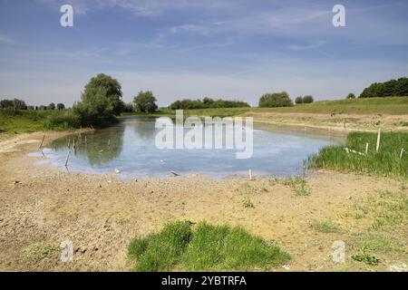 Teich im Flussvorland entlang des Flusses Waal in der Nähe Das holländische Dorf Ochten Stockfoto