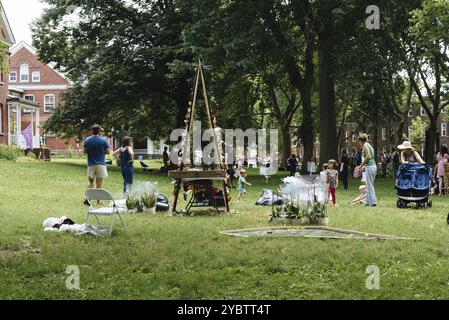 New York City, USA, 24. Juni 2018: People Enjoy in Festival auf Governors Island. Figment Festival, Nordamerika Stockfoto