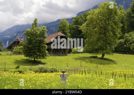 Vogelscheuche in einer Wiese vor farmbuildings im Freilichtmuseum Ballenberg bei Brienz in der Schweiz Stockfoto