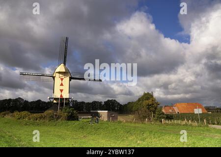 Windmühle auf dem Deich entlang der Maas in der Nähe der Niederländischen Dorf Batenburg Stockfoto