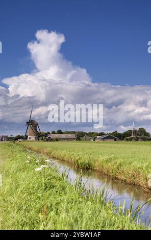 Schwere Wolken über eine grüne Wiese in der Nähe des Niederländischen Dorf in der Region Alblasserwaard Oud-Alblas Stockfoto