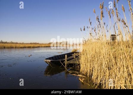 Der Kanal Oude Zederik in der Nähe von Ameide in der niederländischen Region Ausflüge Stockfoto