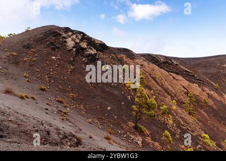 Vulkankrater. Vulkan San Antonio in Fuencaliente, Insel La Palma, einer der Kanarischen Inseln, im Vulkangebiet Cumbre Vieja Stockfoto