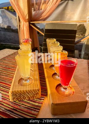 Bunte, transparente Cocktails, Set mit Shots in einer Reihe Stockfoto