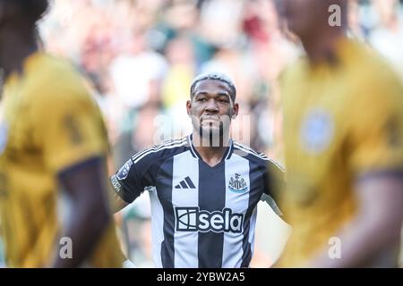 Joelinton aus Newcastle United während des Premier League Spiels Newcastle United gegen Brighton und Hove Albion im St. James's Park, Newcastle, Vereinigtes Königreich, 19. Oktober 2024 (Foto: Mark Cosgrove/News Images) Stockfoto