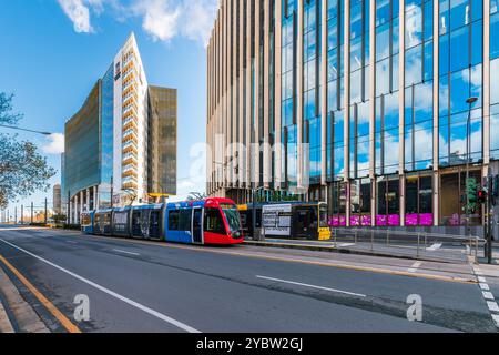 Adelaide, South Australia - 14. Juli 2024: Campus der University of Adelaide North Terrace mit Straßenbahnen an der Haltestelle, von der Straße aus gesehen an einem Tag Stockfoto