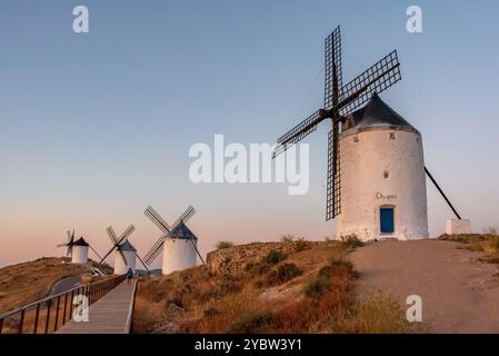 Berühmte historische Windmühlen in Consuegra während des Sonnenaufgangs, Spanien, bekannt aus dem Roman Don Quichotte von Cervantes Stockfoto