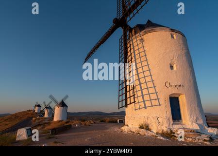 Berühmte historische Windmühlen in Consuegra während des Sonnenaufgangs, Spanien, bekannt aus dem Roman Don Quichotte von Cervantes Stockfoto