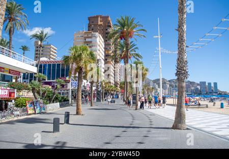 Von Palmen gesäumte Promenade am Levante Beach in Benidorm an der Costa Blanca in Spanien Stockfoto