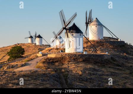 Berühmte historische Windmühlen in Consuegra während des Sonnenaufgangs, Spanien, bekannt aus dem Roman Don Quichotte von Cervantes Stockfoto