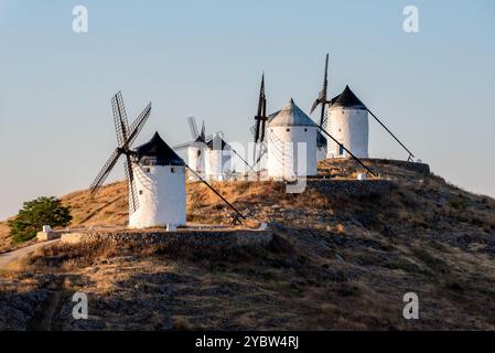 Berühmte historische Windmühlen in Consuegra bei Sonnenaufgang, Spanien, bekannt aus dem Cervantes-Roman Don Quichotte Stockfoto