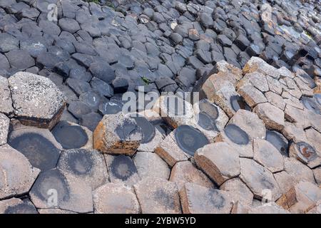 Blick von oben auf die sechseckigen Basaltsäulen am Giant's Causeway. Die Steine sind mit Wasser markiert und bilden ein natürliches Muster Stockfoto