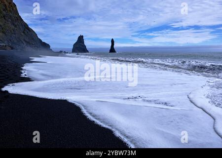 Island, Region Sudurland, Vik, Dyrholaey Site, Reynisfjara schwarzer Sandstrand, Reynisdrangar Nadeln Stockfoto