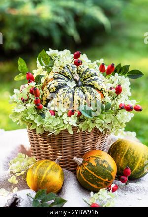 Schönes Blumenarrangement mit dekorativem Kürbis, weißen Hortensie-Blüten und roten Reship-Ästen in einem rustikalen Korb. Blumengeschäft oder Garten Stockfoto