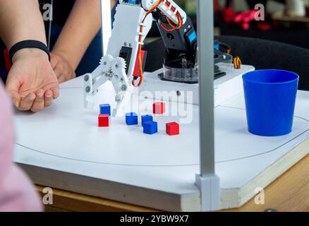 Roboter-automatische Hand nimmt Würfel und setzt Glas ein. Automatischer Roboterarm, der die Farbe des Würfels unterscheidet und in Glas derselben Farbe einsetzt. Automatisierung, moderne Technologien. Künstliche Intelligenz Stockfoto