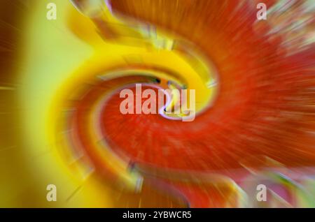 Zoomeffekt auf wirbelnde Blasen auf Wasseroberflächenwasser in gelbem und rotem Farbverlauf Stockfoto