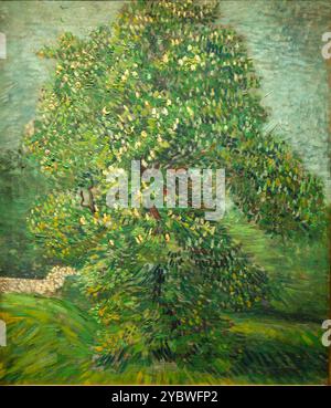 Rosskastanie in Blüte 1887 Vincent van Gogh Stockfoto