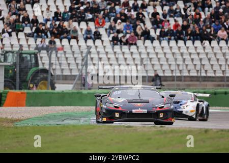 Thierry Vermeulen (MON), Ferrari 296 GT3, Team: Emil Frey Racing (che) Motorsport, DTM 2024, DTM08, Finale, Hockenheimring, Hockenheim, Baden-Württemberg, Deutschand, 19.10.2024 Foto: Eibner-Pressefoto/Jürgen Augst Stockfoto