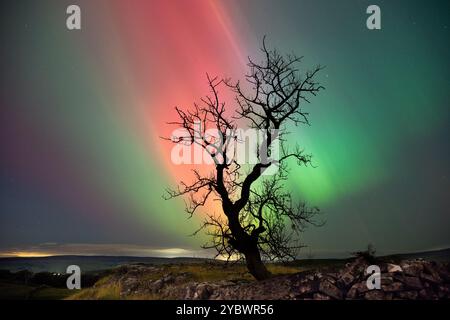 Die Nordlichter über Winskill in der Nähe von Settle, Yorkshire Dales National Park, 30 Uhr 11. Oktober 2024. Stockfoto