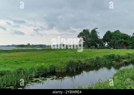 Typische Landschaft der niederländischen Provinz Friesland, mit Wiesen, See und Bauernhof Stockfoto