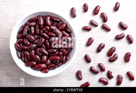 Getrocknete Kidneybohnen in einer weißen Schüssel auf Leinengewebe. Rohe, ungekochte, rote Kidneybohnen, eine Sorte der Bohnen Phaseolus vulgaris. Stockfoto