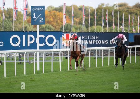 Ascot, Berkshire, Großbritannien. Oktober 2024. KYPRIOS mit Jockey Ryan Moore gewinnt beim British Champions Day den QICPO British Champions Long Distance Cup, Gruppe 2, British Champions Series, Klasse 1 auf der Ascot Racecourse. Besitzer Moyglare, Trainer Aidan O’Brien, Irland, Züchter Moyglare Stud Farm Ltd Quelle: Maureen McLean/Alamy Live News Stockfoto