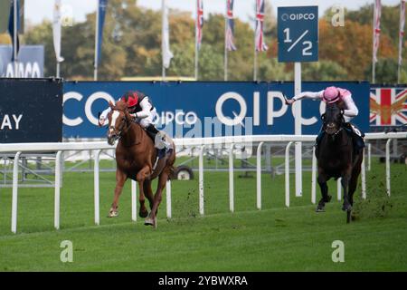 Ascot, Berkshire, Großbritannien. Oktober 2024. KYPRIOS mit Jockey Ryan Moore gewinnt beim British Champions Day den QICPO British Champions Long Distance Cup, Gruppe 2, British Champions Series, Klasse 1 auf der Ascot Racecourse. Besitzer Moyglare, Trainer Aidan O’Brien, Irland, Züchter Moyglare Stud Farm Ltd Quelle: Maureen McLean/Alamy Live News Stockfoto