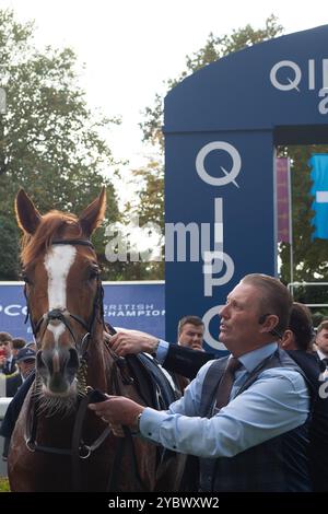 Ascot, Berkshire, Großbritannien. Oktober 2024. KYPRIOS mit Jockey Ryan Moore gewinnt beim British Champions Day den QICPO British Champions Long Distance Cup, Gruppe 2, British Champions Series, Klasse 1 auf der Ascot Racecourse. Besitzer Moyglare, Trainer Aidan O’Brien, Irland, Züchter Moyglare Stud Farm Ltd Quelle: Maureen McLean/Alamy Live News Stockfoto