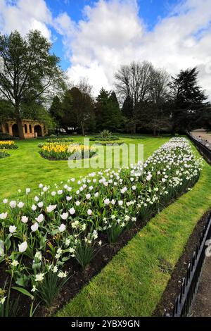 Frühlingsblumen in Jephson Gardens, Leamington Spa Town, Warwickshire, England, Großbritannien Stockfoto