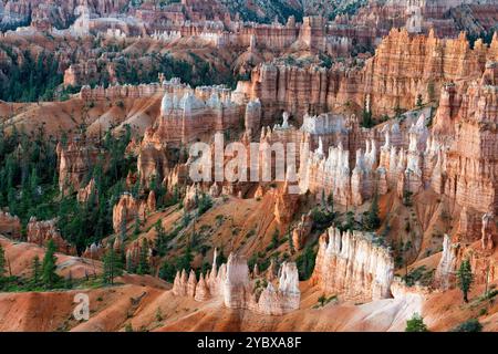 Bryce Canyon Amphitheater bei Sonnenaufgang, Inspiration Point, Bryce Canyon National Park, Utah, USA Stockfoto