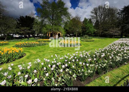 Frühlingsblumen in Jephson Gardens, Leamington Spa Town, Warwickshire, England, Großbritannien Stockfoto