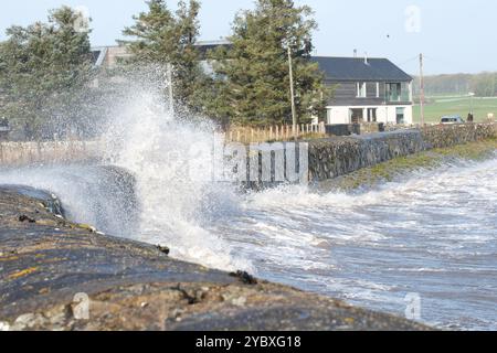 Garlieston, Wigtownshire, Schottland – Wetter in Großbritannien – Sonntag, 20. Oktober 2024 – starke Winde vom Sturm Ashley verbinden sich mit einer Hochzeit in Garlieston an der Wigtown Bay, wenn Wellen über die Meeresmauer brechen – Foto Steven May / Alamy Live News Stockfoto