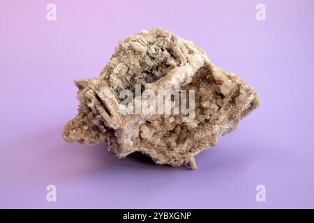 Alte alte versteinerte Holz, Ausgrabung, Mineralien, als schöner Hintergrund Nahaufnahme Vorderansicht schmale Fokuslinie, geringe Tiefenschärfe Makro Stockfoto