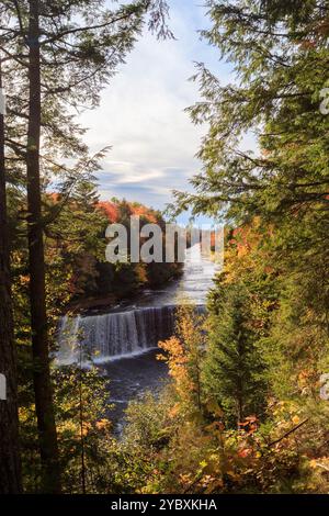 Der Tahquamenon River ist umgeben von üppigen Herbstlaub im Tahquamenon Falls State Park, Michigan Stockfoto