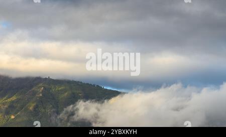 Üppig grüner Berg auf Teneriffa, teilweise bedeckt von niedrigen Wolken mit einem stimmungsvollen Himmel über Ihnen. Stockfoto