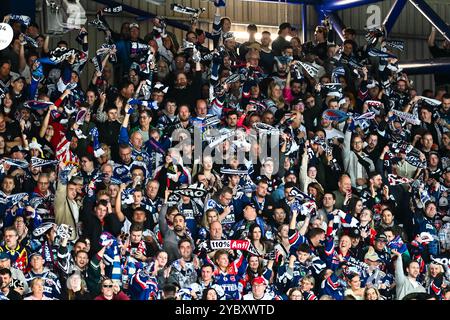 Jubel, Freude bei den Roosters-Fans, GER, Iserlohn Roosters vs. Koeler Haie, Eishockey, Penny-DEL, 11. Spieltag, Spielzeit 2024/2025, 20.10.2024, Foto: Jonas Brockmann/Eibner-Pressefoto Stockfoto