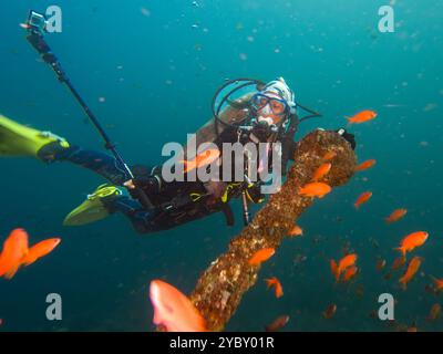 Eine Taucherin hält sich an einem alten spanischen Anker in den Canyons in Puerto Galera, Philippinen. Dies kann ein sehr anspruchsvoller Tauchgang mit starker Strömung sein. Abwärtsströme sind in diesem Bereich üblich Stockfoto